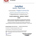 Powiększ obraz: certificate 8