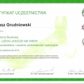 Powiększ obraz: certificate 6