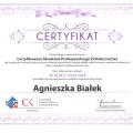 Powiększ obraz: certificate 12