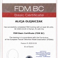 Powiększ obraz: certificate 1