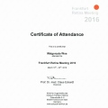 Powiększ obraz: certificate 13