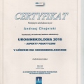 Powiększ obraz: certificate 6