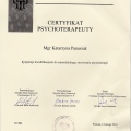 Powiększ obraz: certificate 1