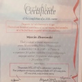 Powiększ obraz: certificate 1