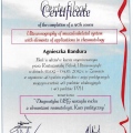 Powiększ obraz: certificate 2