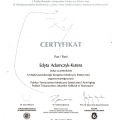 Powiększ obraz: certificate 2