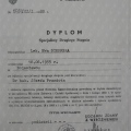 Powiększ obraz: certificate 3