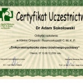 Powiększ obraz: certificate 25