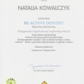 Powiększ obraz: certificate 15