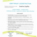 Powiększ obraz: certificate 25