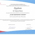 Powiększ obraz: certificate 11