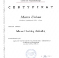 Powiększ obraz: certificate 13
