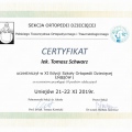 Powiększ obraz: certificate 2