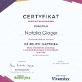 Powiększ obraz: certificate 5