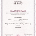 Powiększ obraz: certificate 3