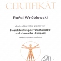 Powiększ obraz: certificate 41