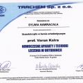 Powiększ obraz: certificate 13