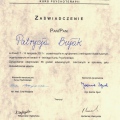 Powiększ obraz: certificate 2