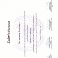 Powiększ obraz: certificate 9