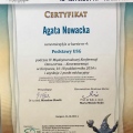 Powiększ obraz: certificate 4