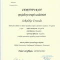 Powiększ obraz: certificate 6