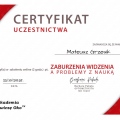 Powiększ obraz: certificate 86