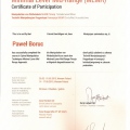 Powiększ obraz: certificate 4