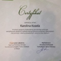 Powiększ obraz: certificate 11