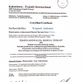 Powiększ obraz: certificate 20