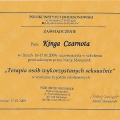 Powiększ obraz: certificate 16