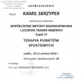 Powiększ obraz: certificate 11