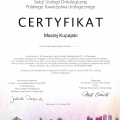 Powiększ obraz: certificate 29