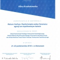Powiększ obraz: certificate 13