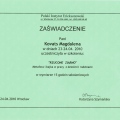 Powiększ obraz: certificate 11