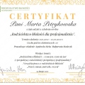 Powiększ obraz: certificate 2