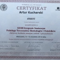 Powiększ obraz: certificate 42
