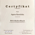 Powiększ obraz: certificate 11