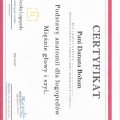 Powiększ obraz: certificate 3