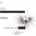 Powiększ obraz: certificate 40