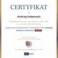 Powiększ obraz: certificate 40