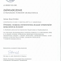 Powiększ obraz: certificate 23