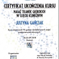 Powiększ obraz: certificate 9