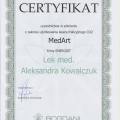 Powiększ obraz: certificate 1