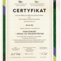 Powiększ obraz: certificate 7