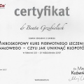 Powiększ obraz: certificate 28
