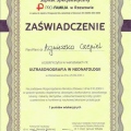 Powiększ obraz: certificate 29