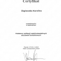 Powiększ obraz: certificate 14