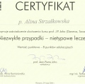 Powiększ obraz: certificate 29