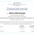 Powiększ obraz: certificate 21