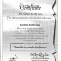 Powiększ obraz: certificate 1